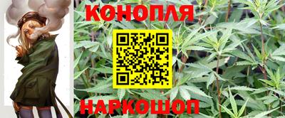 PSILOCYBIN Балашиха