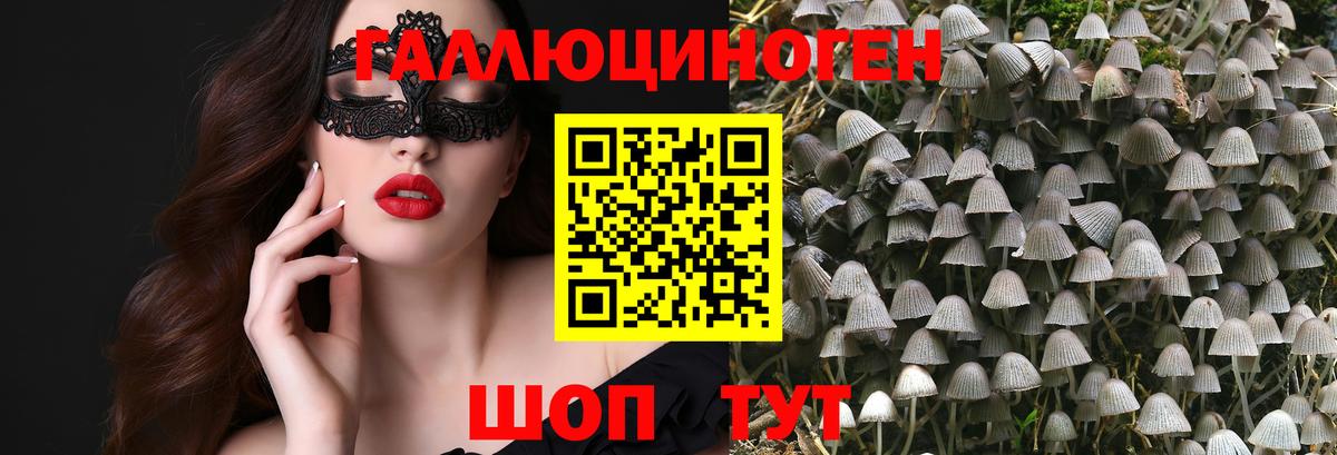 Псилоцибиновые грибы ЛСД Балаково